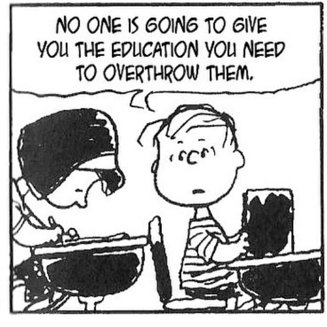 NO ONE IS GOING TO GIVE YOU THE EDUCATION YOU NEED TO OVERTHROW ...